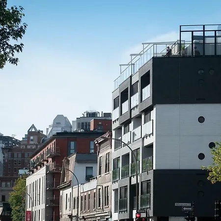 Boxotel-2